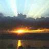 suncicica