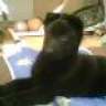 Crna Betty
