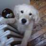 Ivan_Bg-