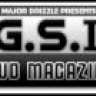 Dr4zen GSI