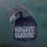 -Nighthawk-