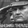 Antirezimski element