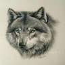 Wolf_1