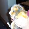 Candy♥