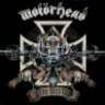 Rock live