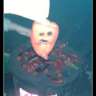papricica.