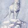 whitefoxx