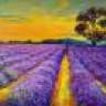 Melburn16