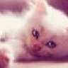 Adelia