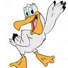 pelican