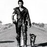 Nlght rider