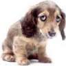 beti_bup