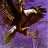 Orome