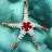 Sea_star