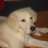 Blondy 05