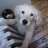 Ivan_Bg-
