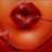 Catherine Arley