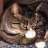 Caffrey