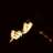 gost 202913