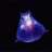 Noctural_jazz