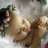 jowanna.s