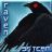 raven