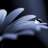gost 300697