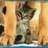 Lunja_82