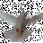 blajbunger