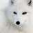 MR.FOX