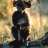 robin_hood