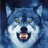 Wolf29