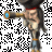 Pirate