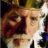 Edward I