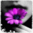 sound_of_my_life