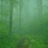 Green Mist