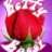 Betty_Bossi