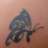 butterfly girl