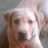 Davor_pi