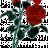 MAjchee_